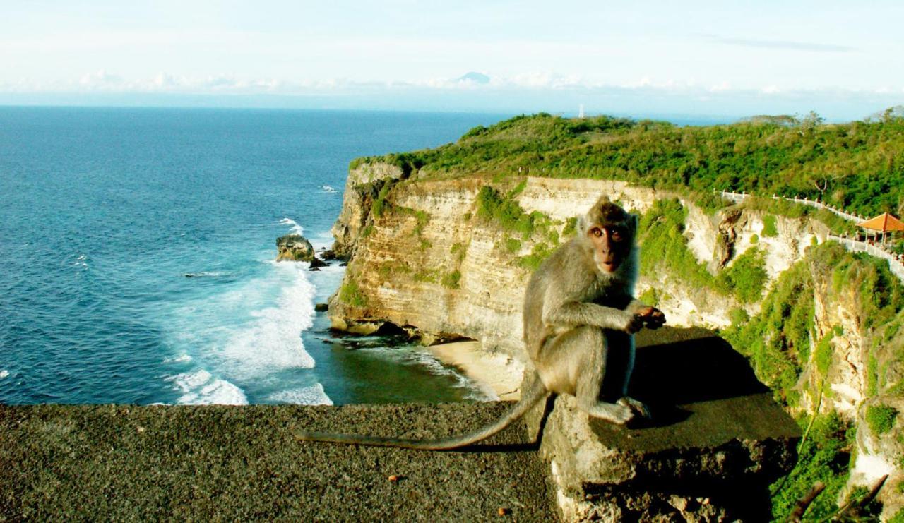 Hakuna Matata Bali Villas Uluwatu Zewnętrze zdjęcie